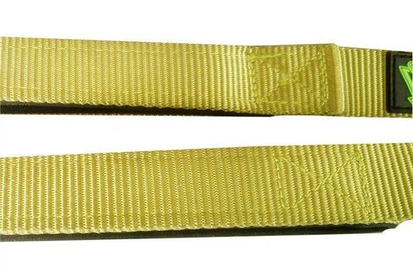 Dual-Handle Bungee Leash With Reflective Stitching