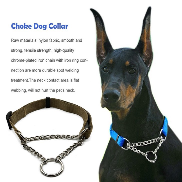 Dog training collar